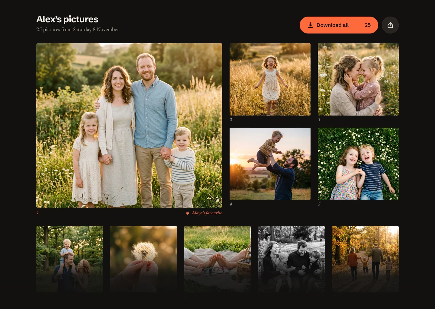 The gallery at desktop width: a large favourite picture, four pictures beside it and a row of five below, with Download all at the top right.